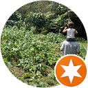 AYGO Organic AYGO Organic
